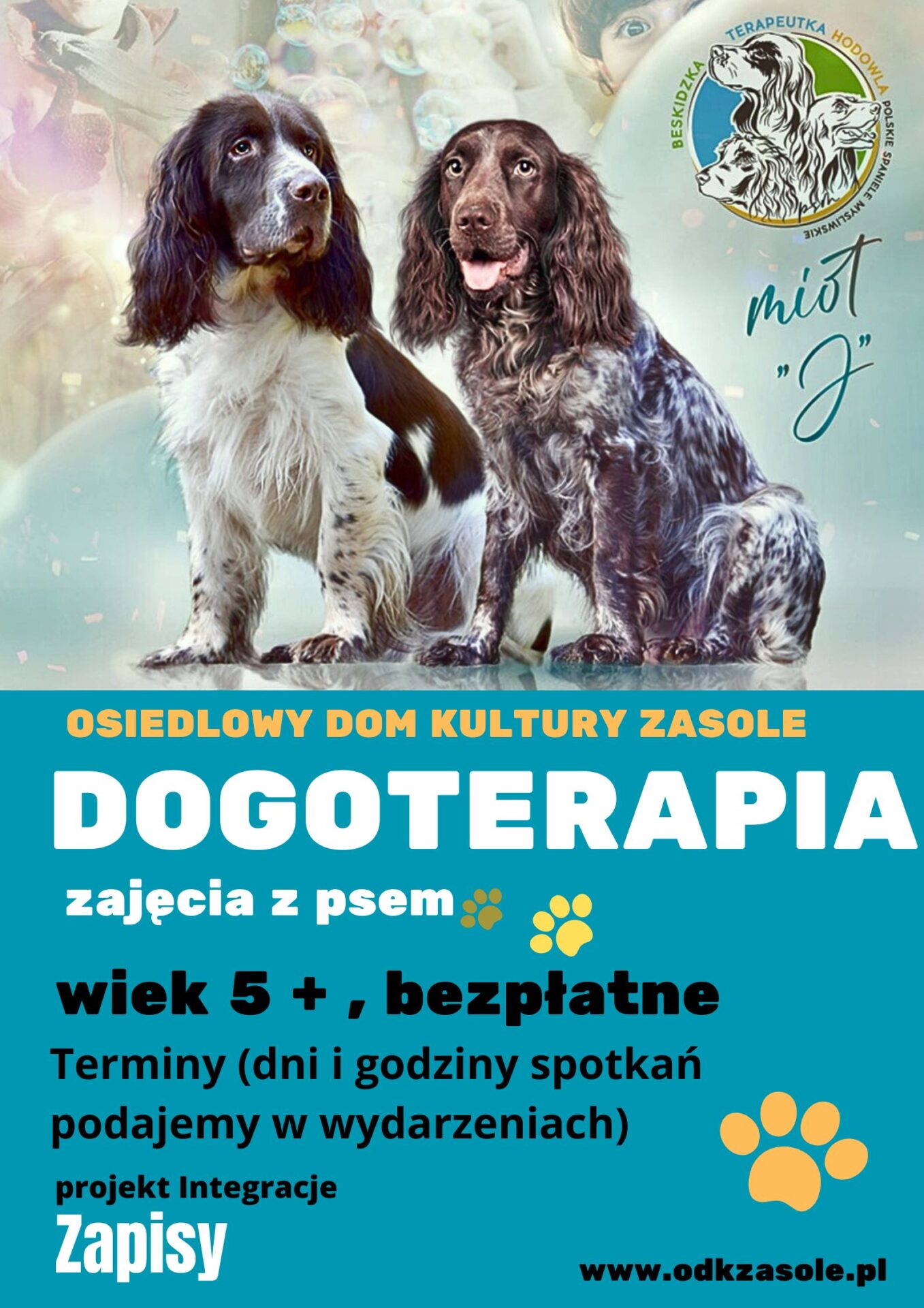 Na plakacie dwa psy i informacje o Dogoterapii