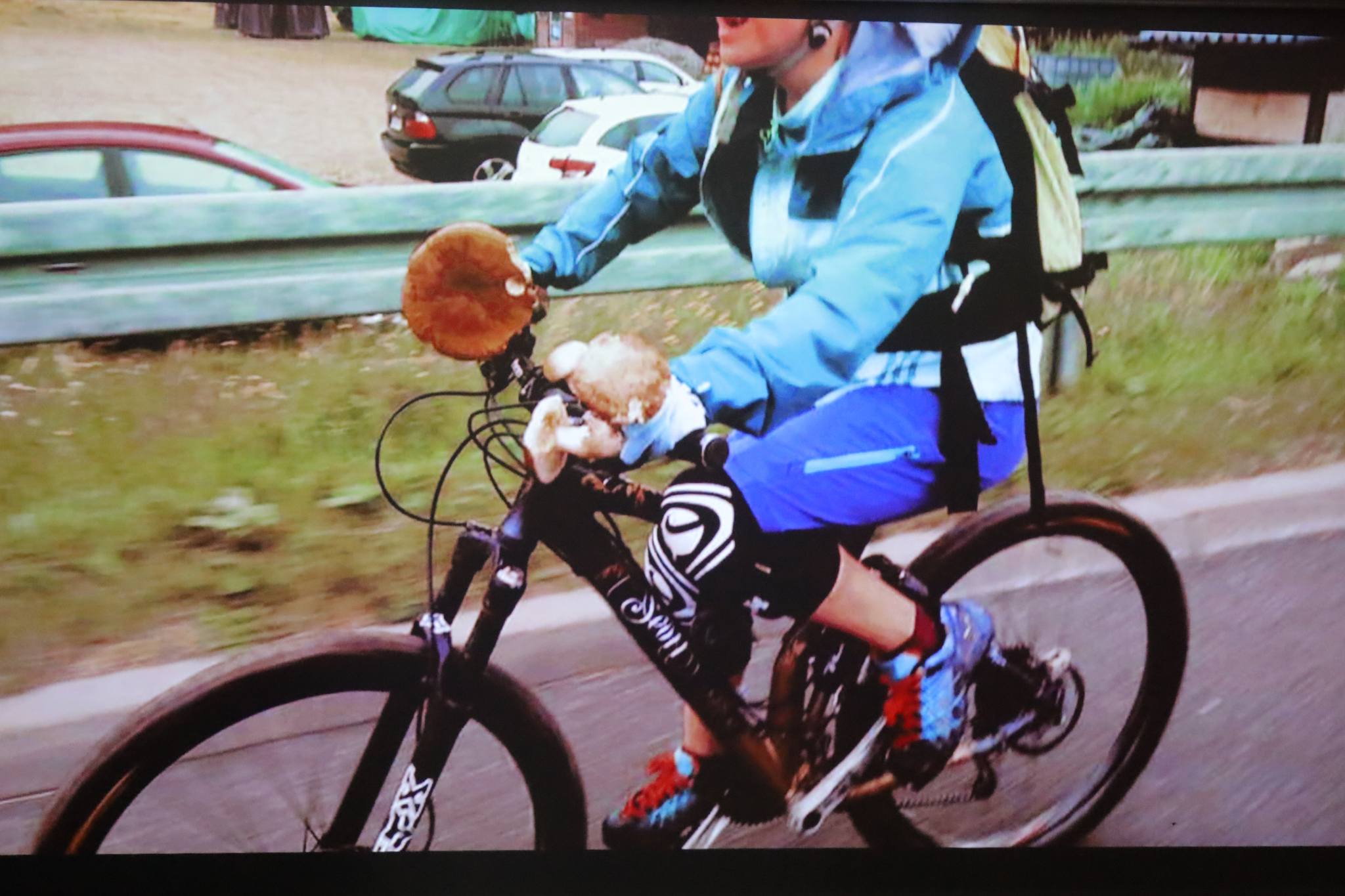 Zosia jedzie z grzybami na rowerze
