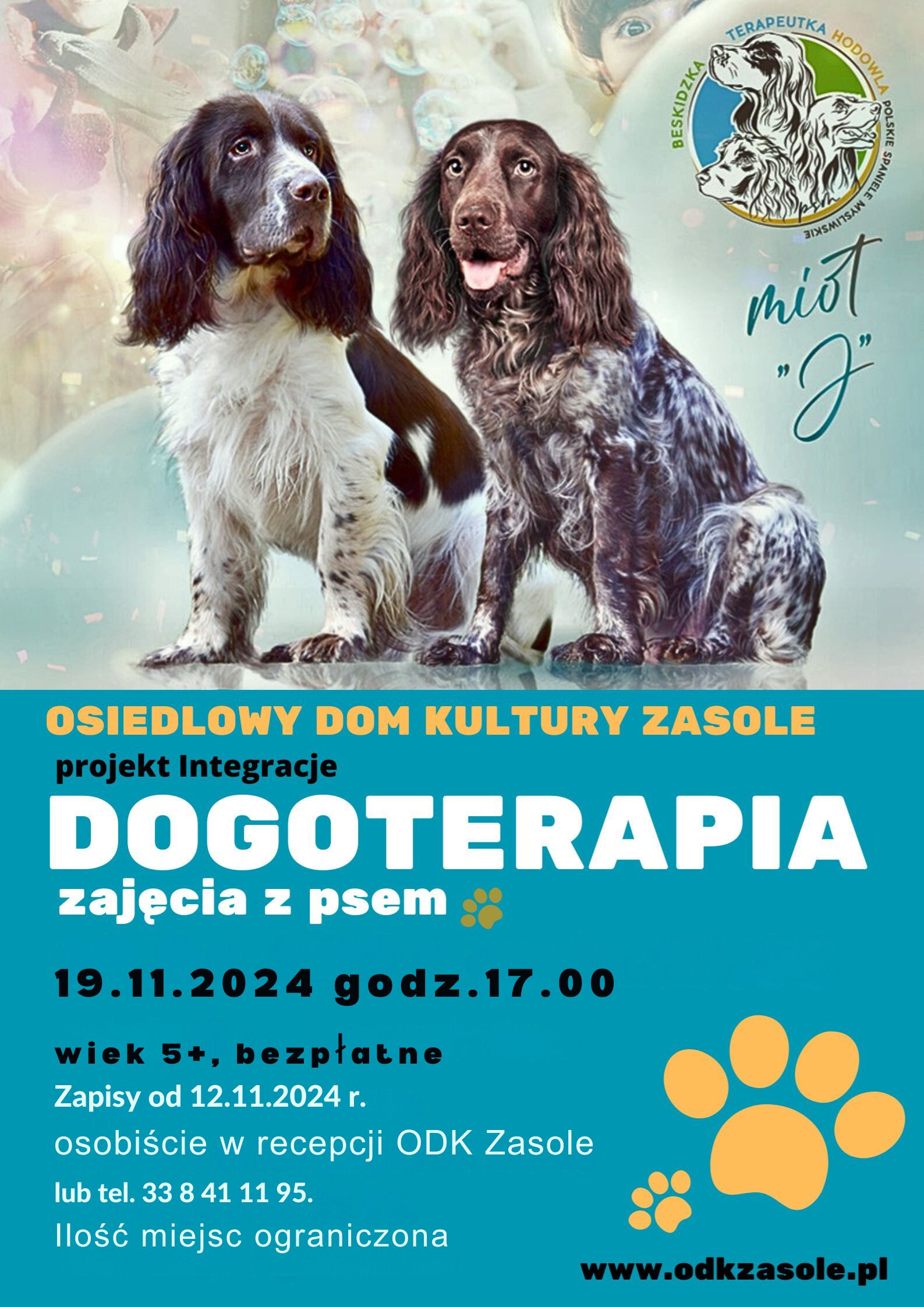 plakat zajęć dogoterapii widać dwa psy i informacje